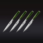 Steak Knife & Bistecca Plate Set, 8-pc